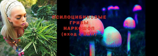 ГАЛЛЮЦИНОГЕННЫЕ ГРИБЫ Верхнеуральск