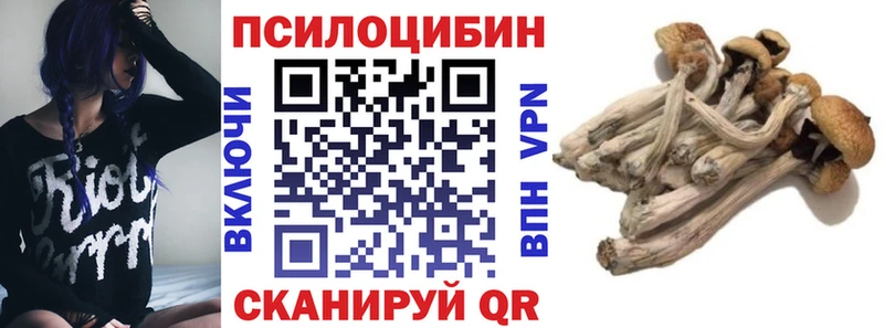 Купить закладки  Красновишерск  Псилоцибиновые грибы MAGIC MUSHROOMS 